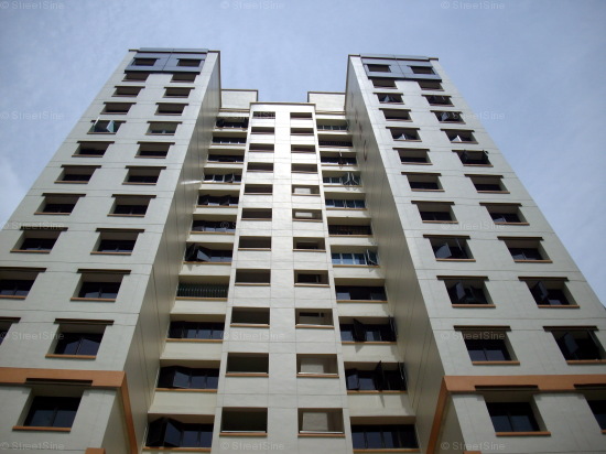 Jurong West Street 64 thumbnail photo